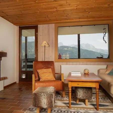 Charming And Comfortable 1 Bedroom In Gryon