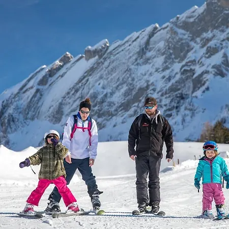 Charming And Comfortable 1 Bedroom In Appartement Gryon