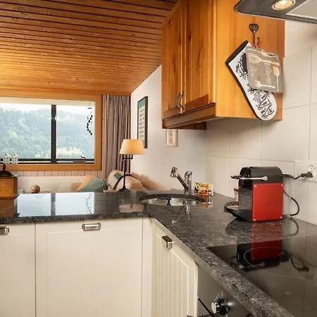 Charming And Comfortable 1 Bedroom In * Gryon