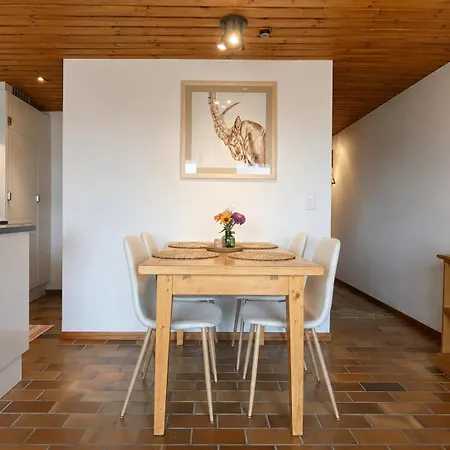 Charming And Comfortable 1 Bedroom In Apartment Gryon