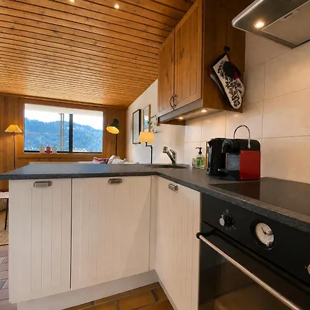 Charming And Comfortable 1 Bedroom In Apartment Gryon