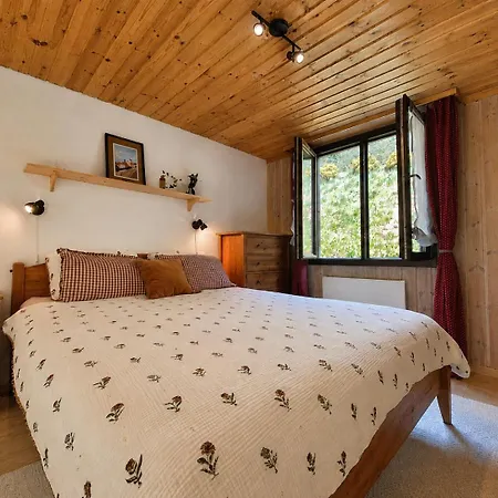 Apartment Charming And Comfortable 1 Bedroom In Gryon