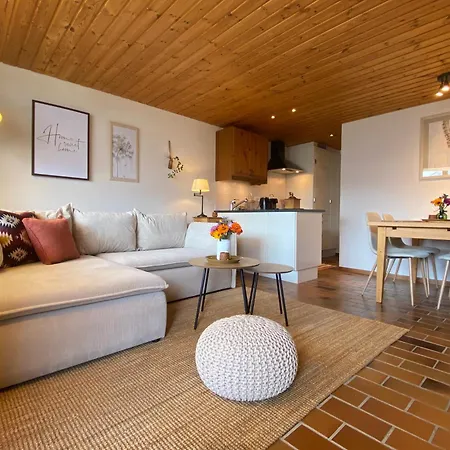 Charming And Comfortable 1 Bedroom In Apartment Gryon