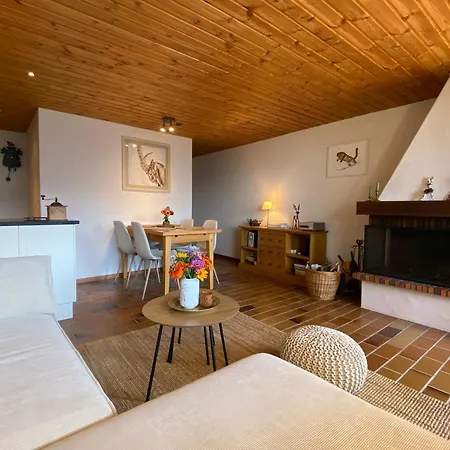 Apartment Charming And Comfortable 1 Bedroom In Gryon