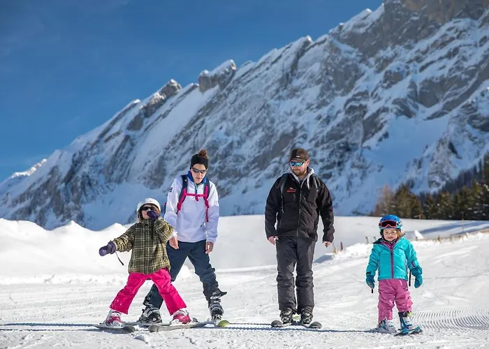 Charming And Comfortable 1 Bedroom In Appartement Gryon