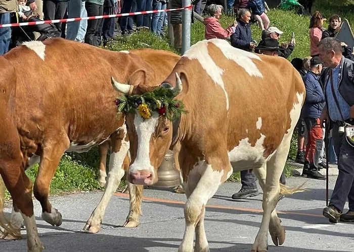 Appartement Charming And Comfortable 1 Bedroom In *